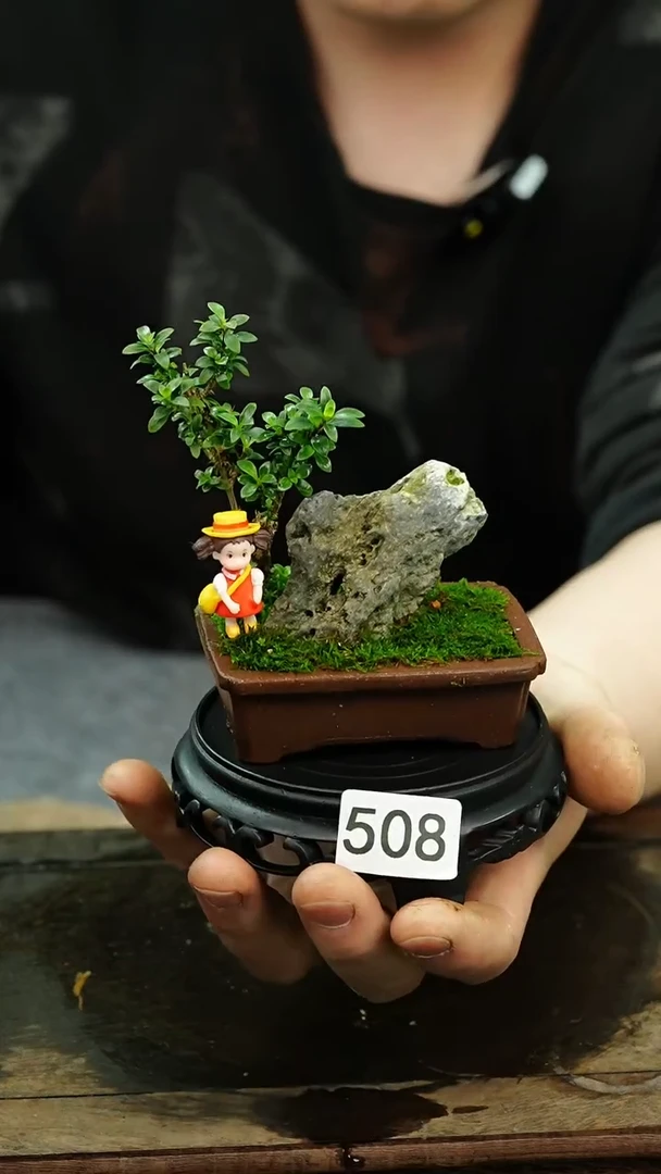 【闪购商品】苔藓微景观508号