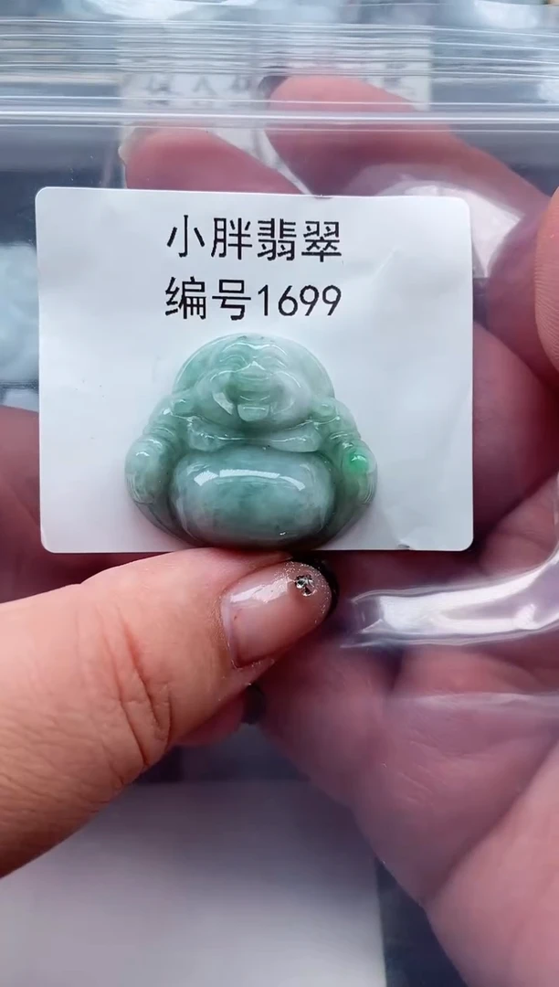 颈饰未镶嵌翡翠缅甸天然A货翡翠1699