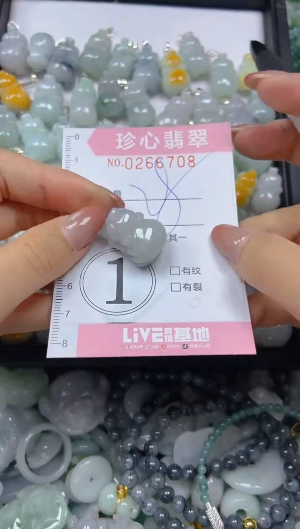 翡翠未镶嵌颈饰闪购0266708