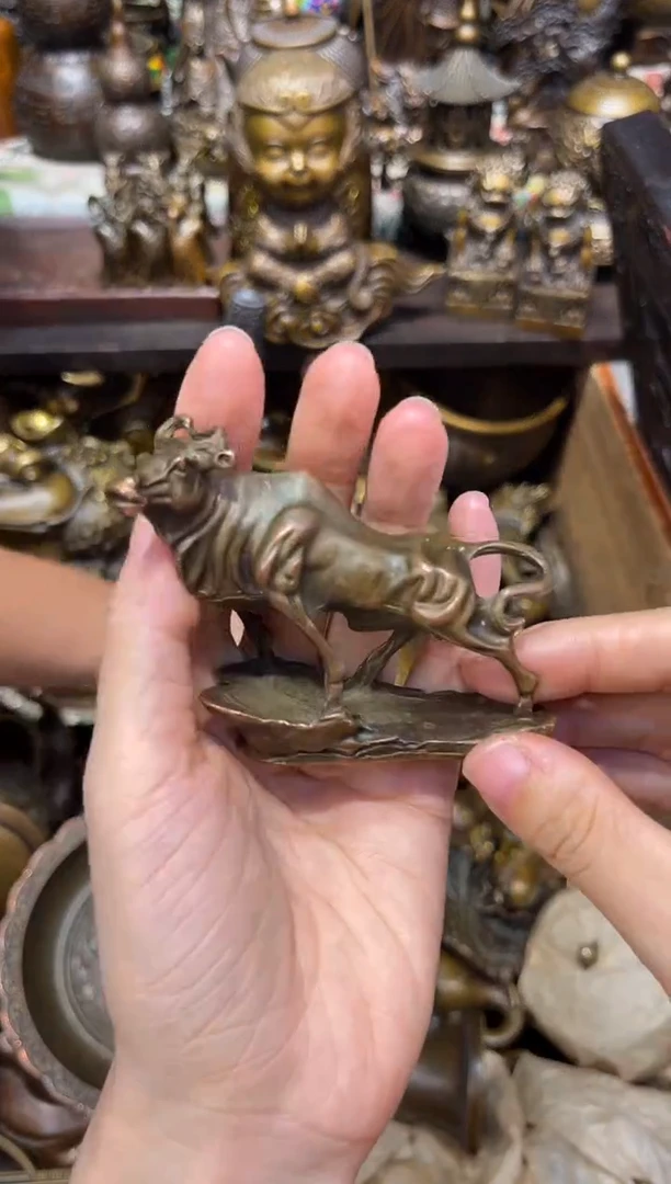 d古铜专属精选链接