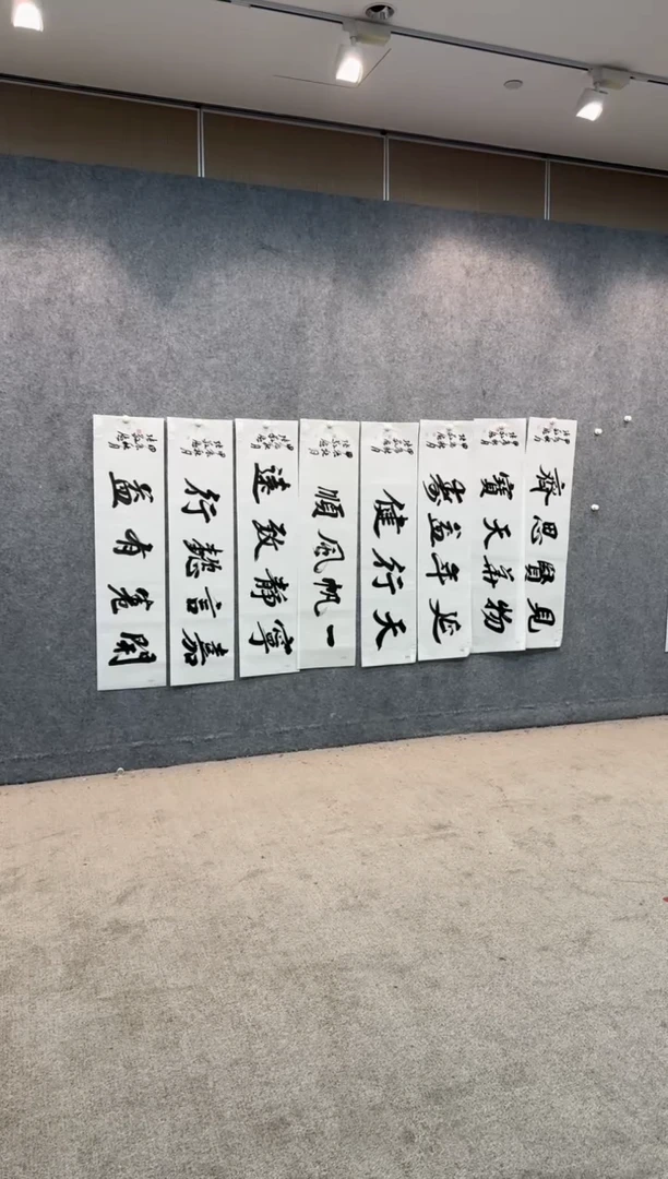 【闪购商品】书法sf不二轩书法作品zjd06