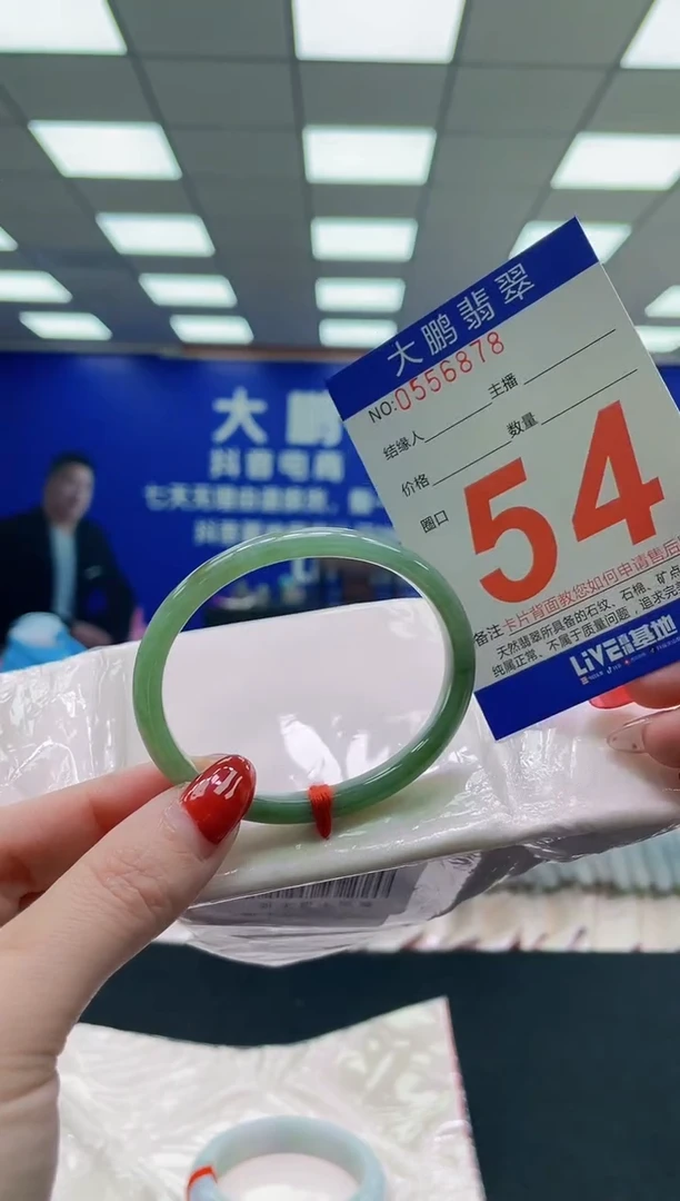 未镶嵌手镯翡翠AAAAAAAAAA