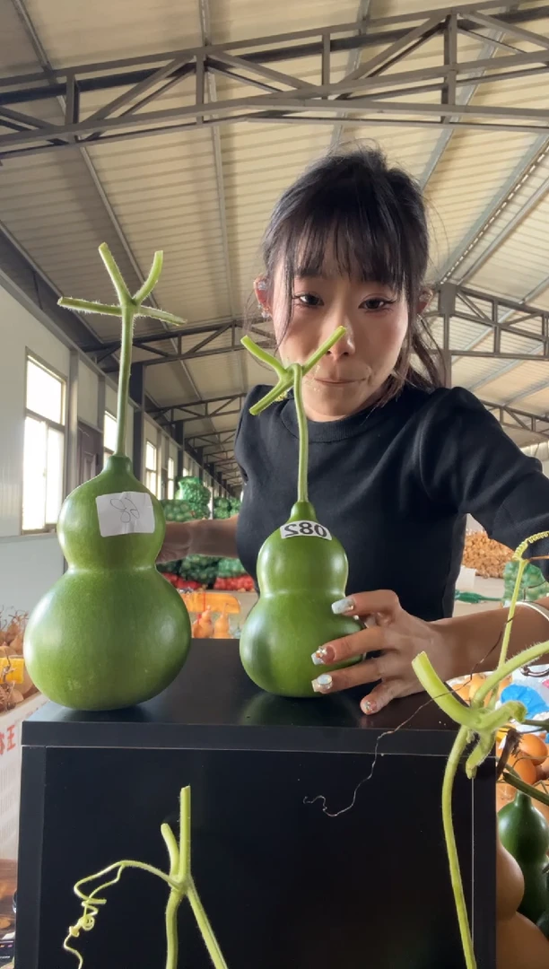 黎*082天然葫芦摆件 一物一拍龙头不保售后