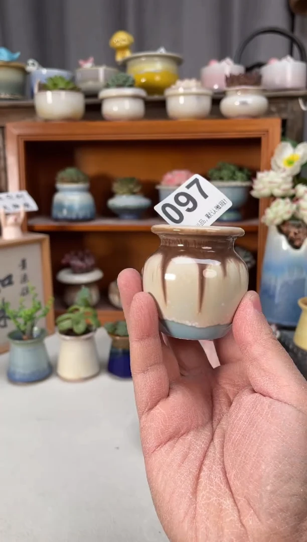 瓷片097小芳直播编号