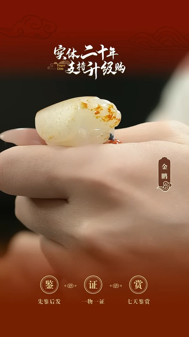 吊坠(赠链)未镶嵌和田玉白玉龙龟挂件24.089g