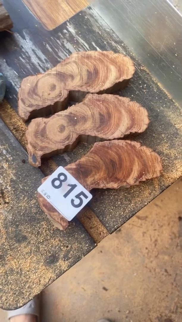 柏木（崖柏）太行崖柏切片一块（津诚林）