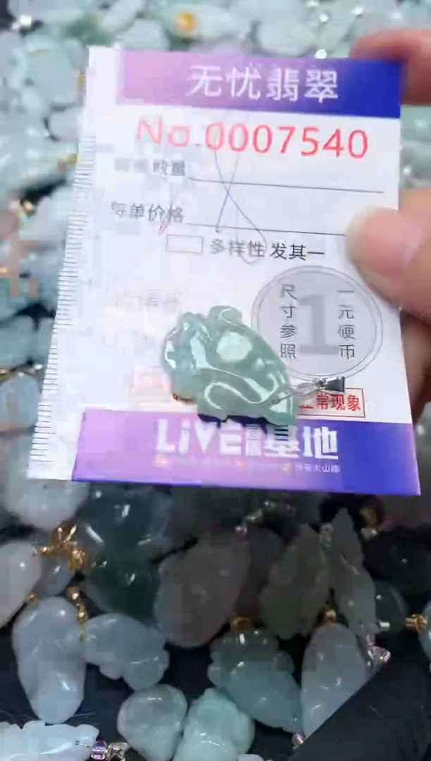 颈饰未镶嵌翡翠7540