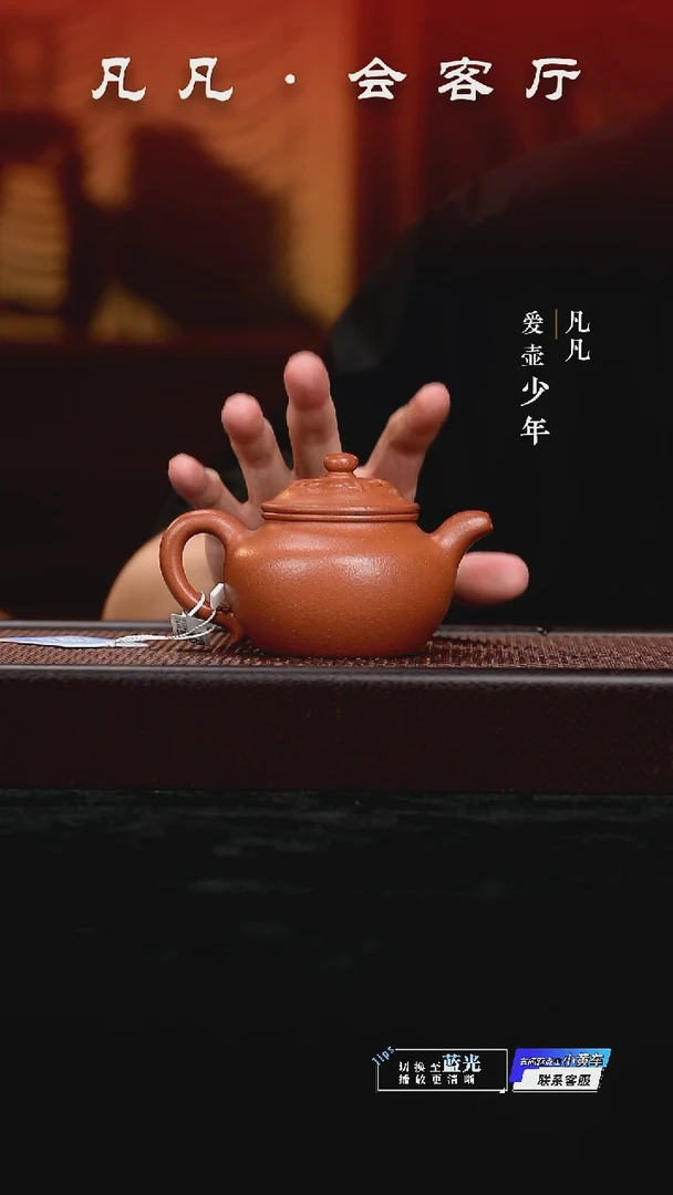 凡凡会客厅 潘俊昌紫砂壶55 钱荣莲子降坡240cc