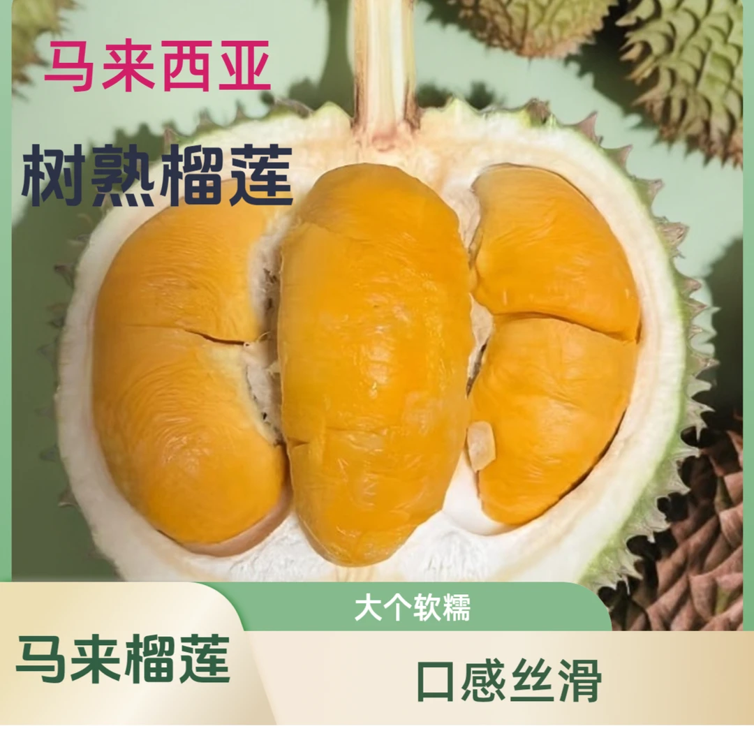 一物一拍 马来西亚黑刺鲜榴莲口感丝滑2公斤核大黑刺马来西亚