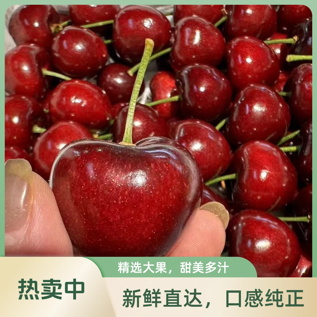 3J智利进口拉宾斯车厘子  1.5kg109