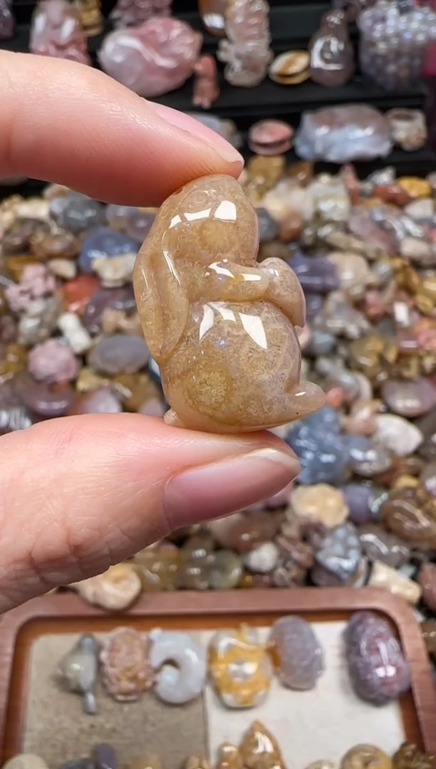 颈饰未镶嵌硅化珊瑚（珊瑚玉）359