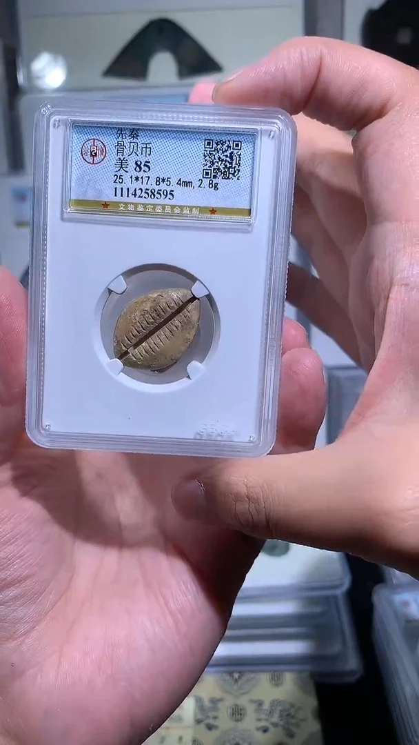 【闪购商品】铜御泉收藏骨bei币一枚