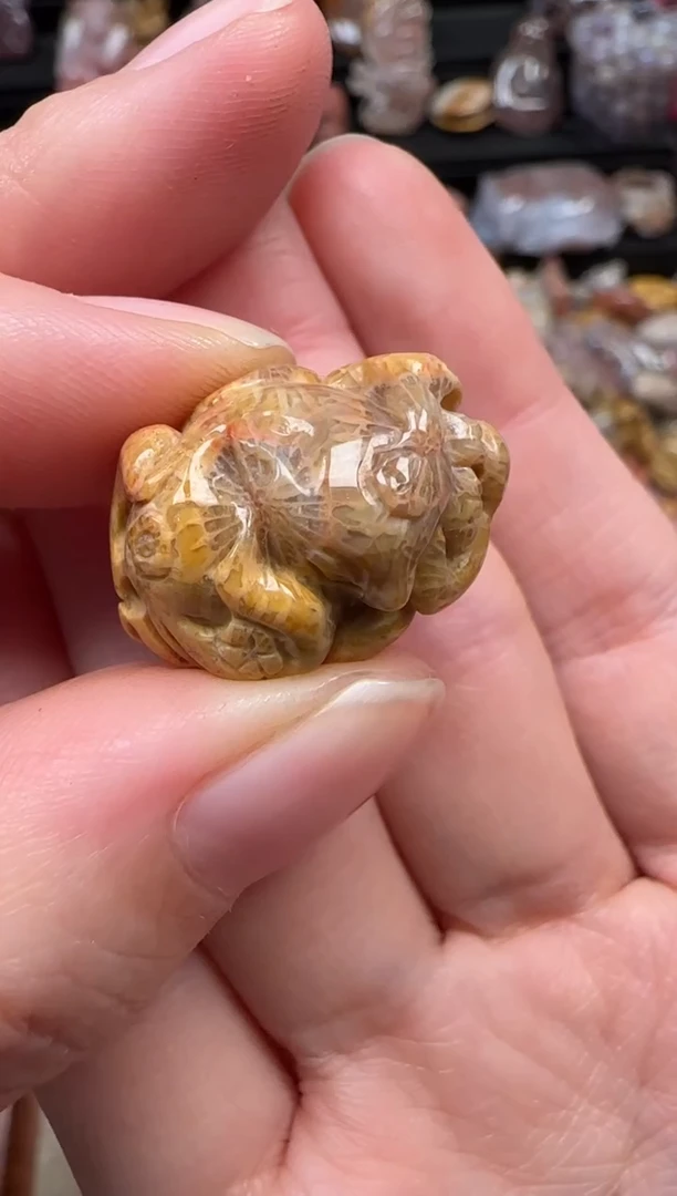 颈饰未镶嵌硅化珊瑚（珊瑚玉）297