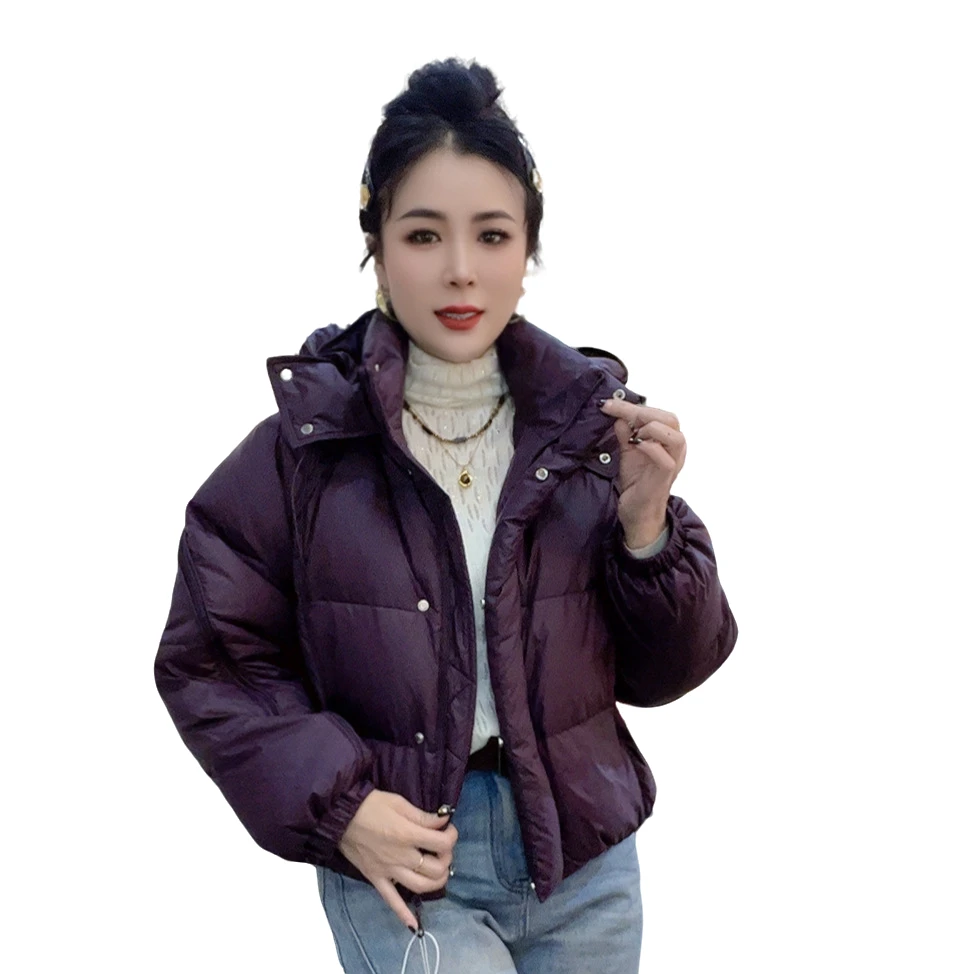 莉丽佳837款女装冬季长袖立领连帽收口袖加厚羽绒服洋气休闲百搭0