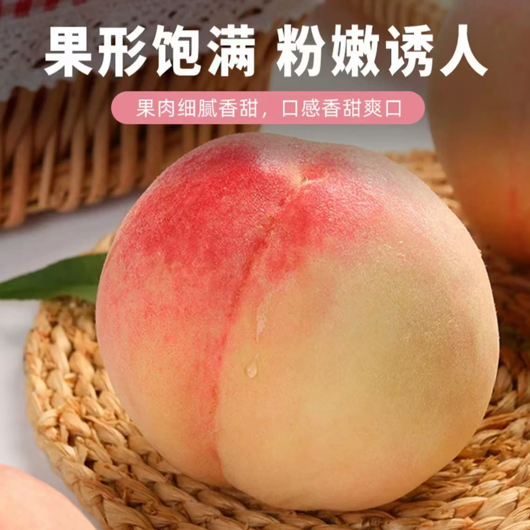 【小桃王白凤】正宗阳山水蜜桃5-6两礼盒装6只装1箱/（12只）拍1箱送1箱自家园子当季新鲜水果桃子江苏省