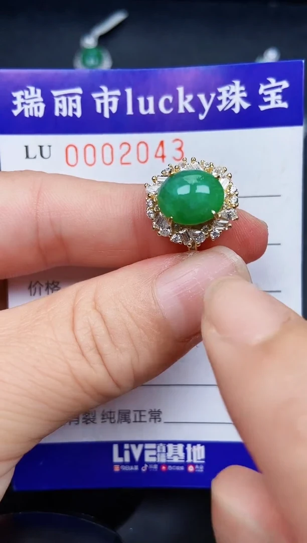 翡翠银S925镶嵌颈饰2043