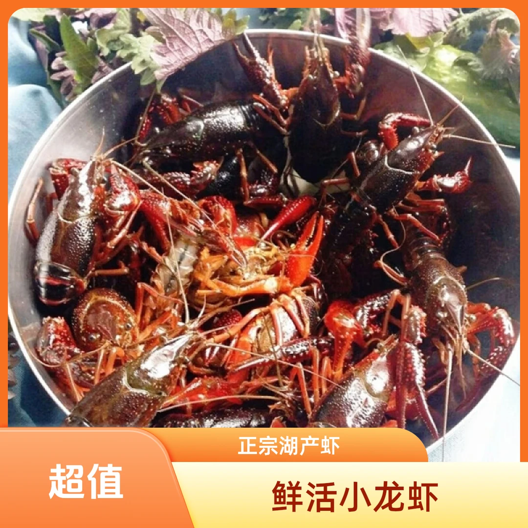 鲜活潜江小龙虾（死亡超过6只，超出部分每只都有赔付）