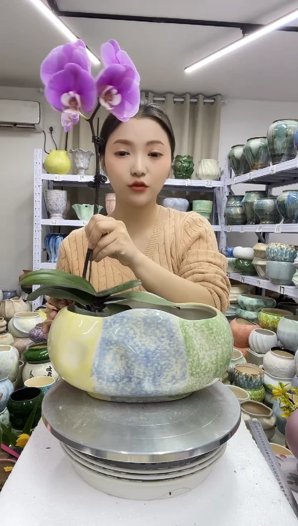 【12.29】花盆链接 高：  13口：24