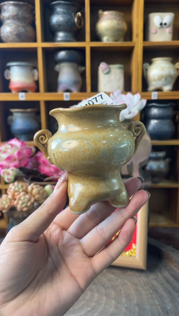 077内口5.5【多肉花盆多肉盆】