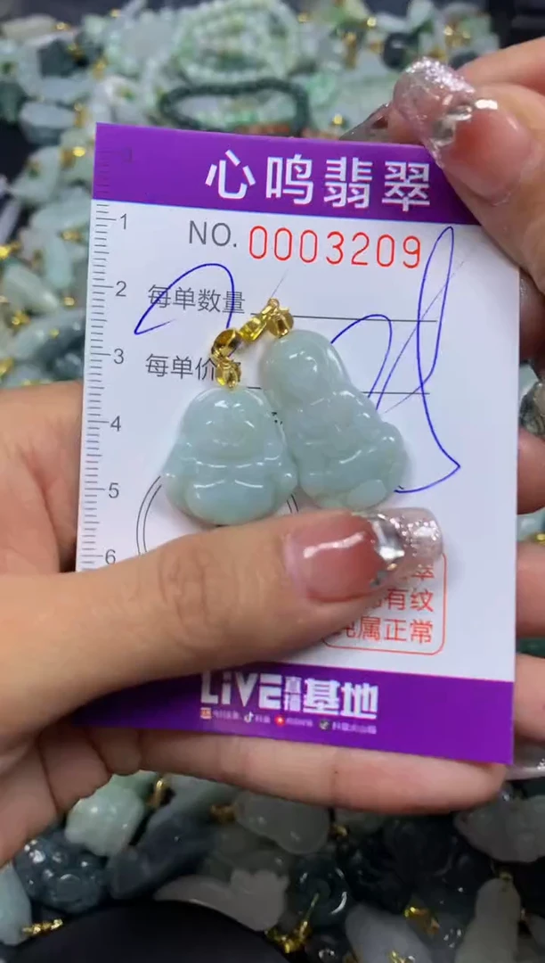 【闪购商品】翡翠颈饰未镶嵌闪购003209