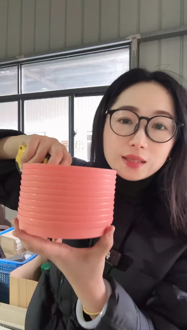 【闪购商品】塑料萨米特142底碟粉色10个装