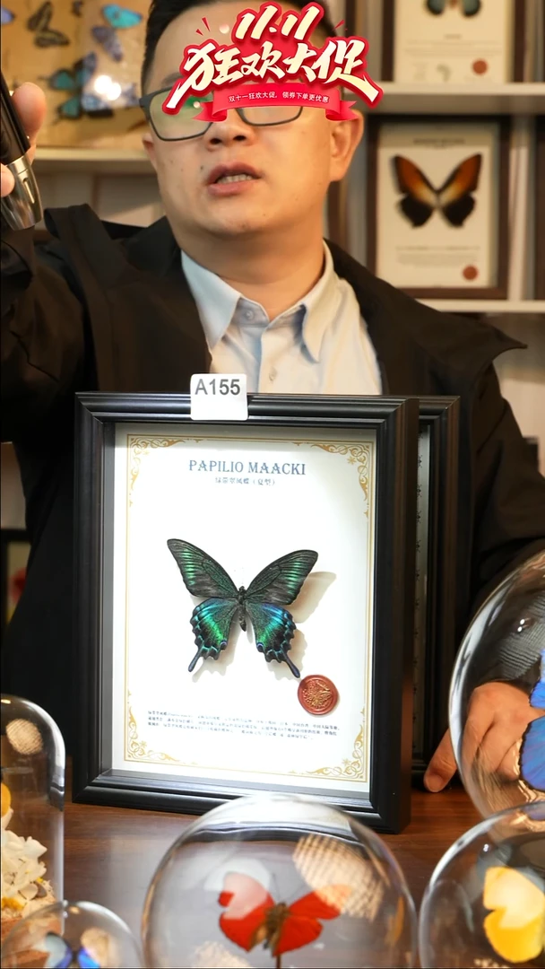 绿带翠凤蝶夏款-英文(10寸欧式黑框）A155