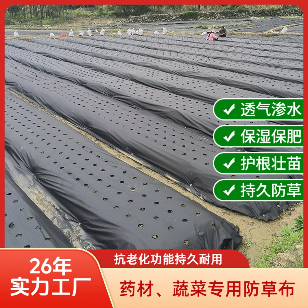 中药材种植专用打孔防草布保湿保墒透气渗水耐用抗老化批发定制