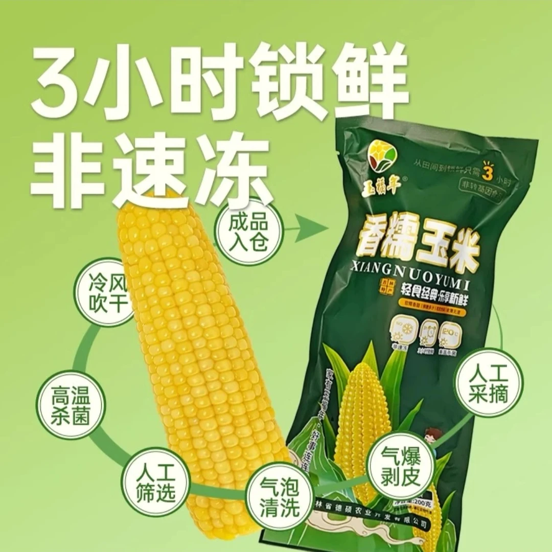 东北黄糯玉米香甜嫩真空包装新玉米粘糯现摘新鲜玉米棒苞米非即食