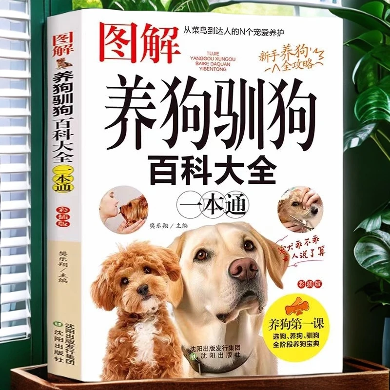 柯基  养狗训狗百科大全 比熊 金毛 拉拉  泰迪 边牧 博美 德牧