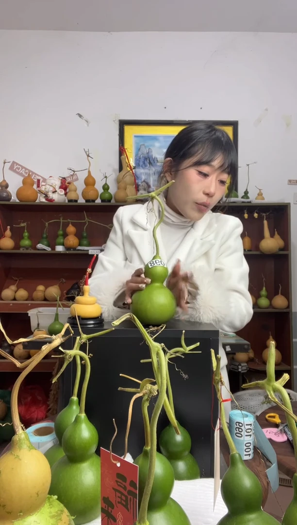 098天然葫芦摆件 一物一拍龙头不保售后