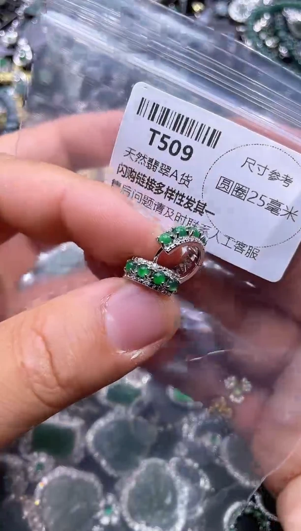 【闪购商品】翡翠颈饰未镶嵌T509耳扣