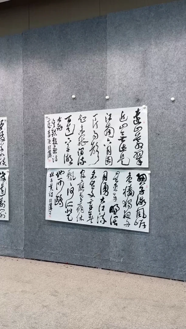 【闪购商品】书法pmw不二轩旗舰店书法JW10