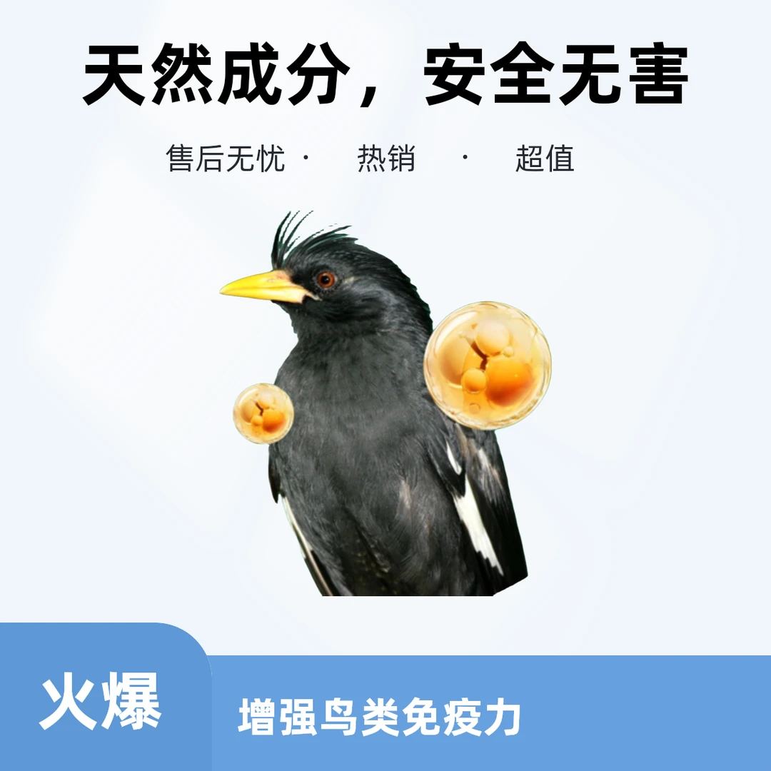八哥幼鸟自制专用粮