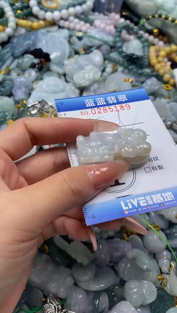 翡翠未镶嵌颈饰闪购0285189