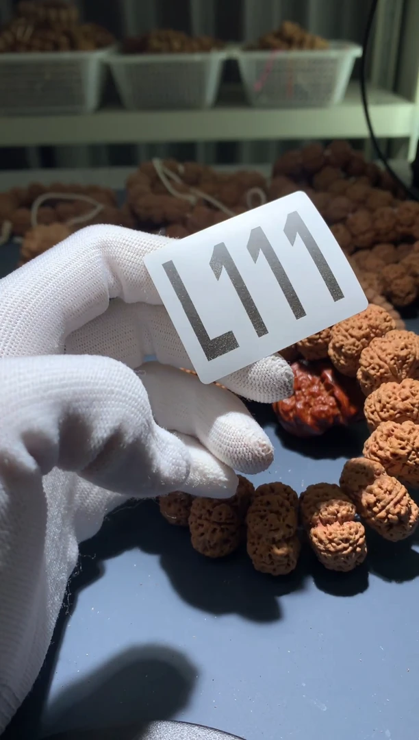 手串金刚菩提哈*?L000 111