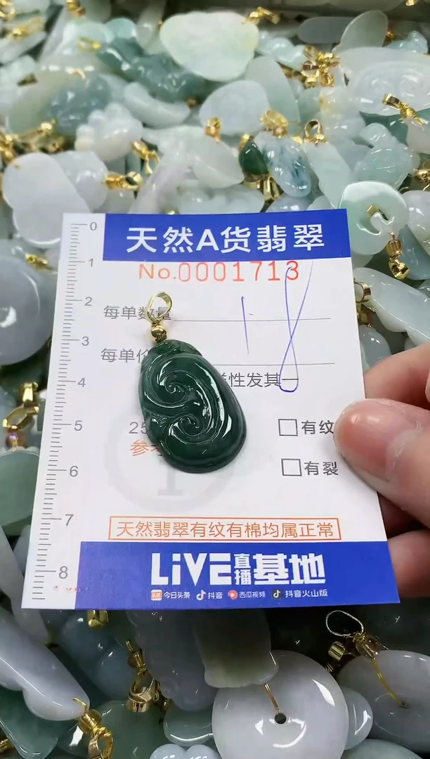 颈饰未镶嵌翡翠纯天然a货翡翠