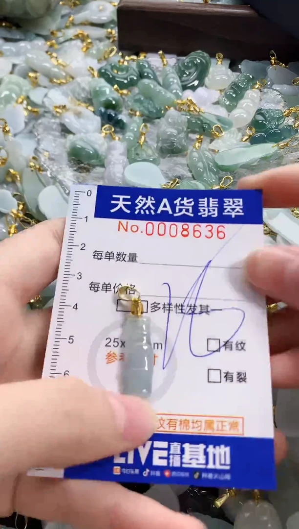 颈饰未镶嵌翡翠天然A货翡翠