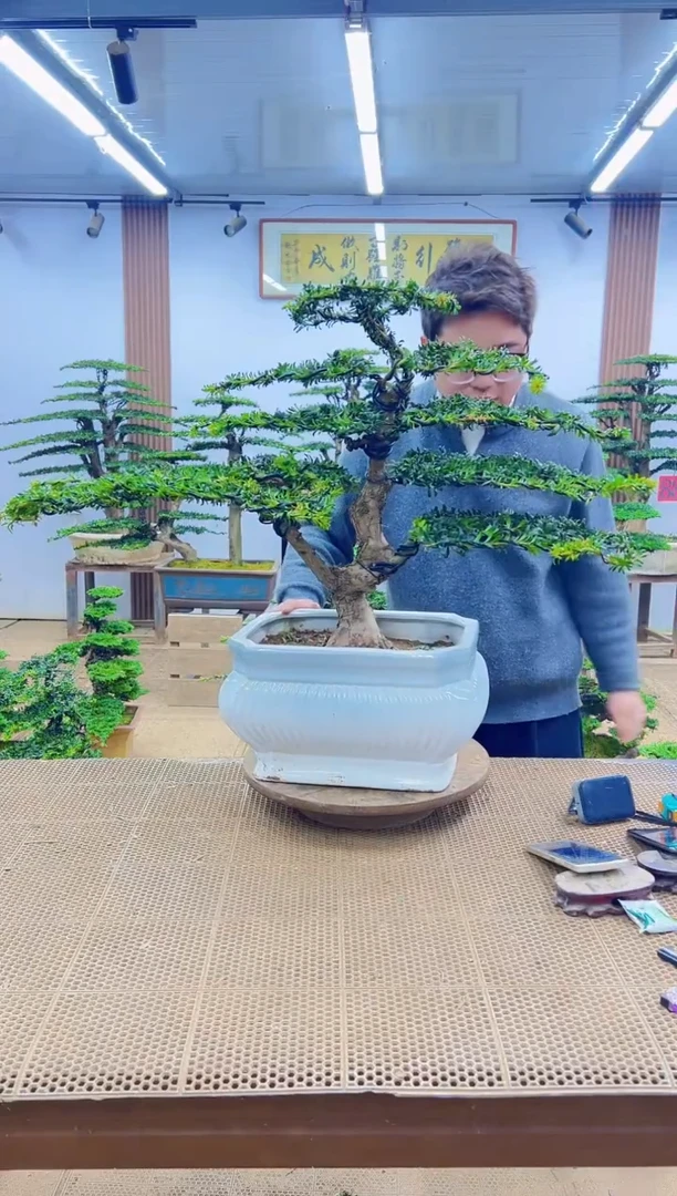 无花朵00000000000