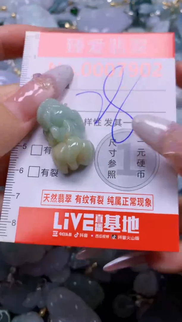 颈饰未镶嵌翡翠7902