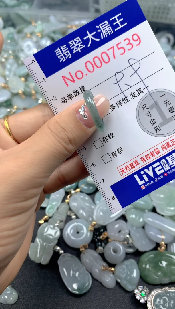 颈饰未镶嵌翡翠7539