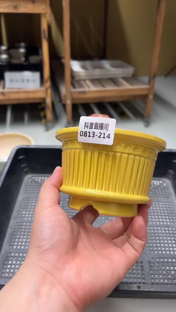 0813-214 瓦盆微瑕 一只 口10