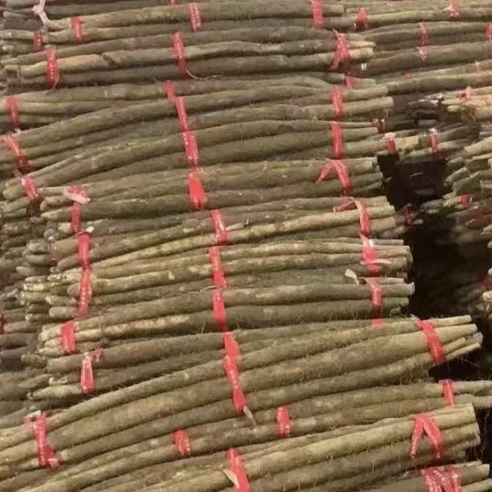 铁棍山药软糯香甜产地直发生鲜蔬菜宝宝辅食带箱五斤50-70厘米