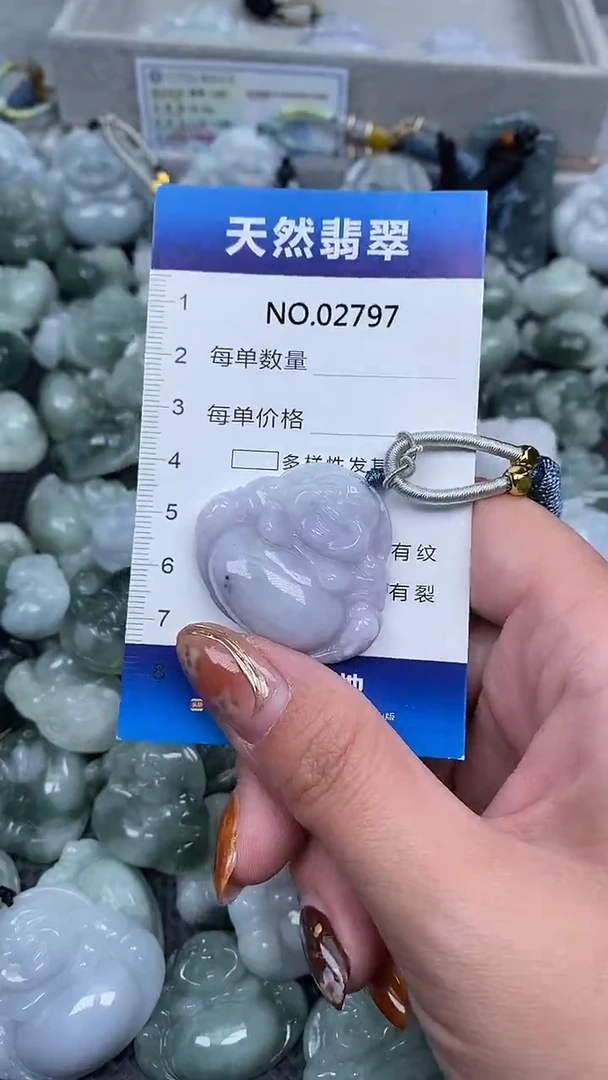 颈饰未镶嵌翡翠纯天然A货翡翠2797