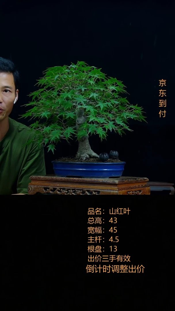 完全开放林**羽00000000000