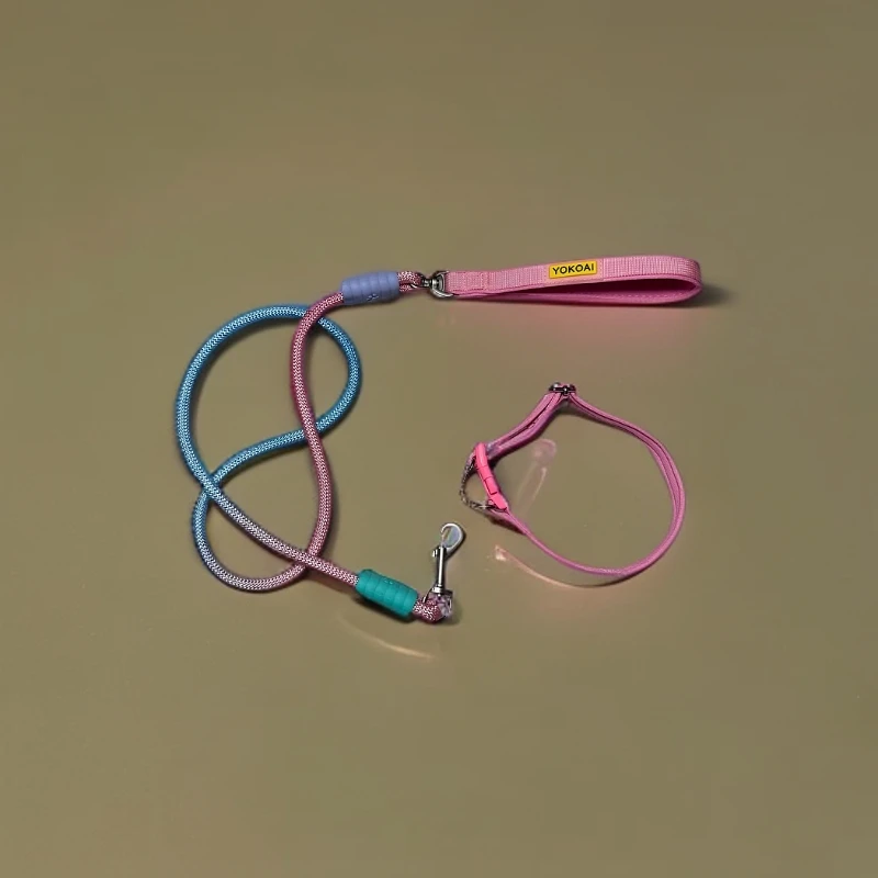 渐变色宠物项圈牵引绳中大型犬专用遛狗绳脖圈款狗绳可调节转环