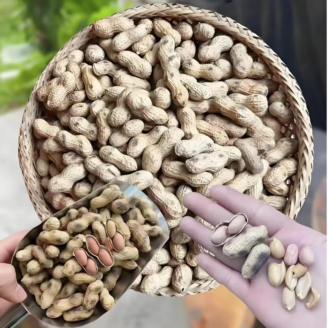 小分农家铁锅炒花生