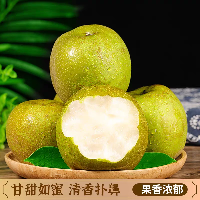 安徽砀山翠冠梨丑梨蜜梨甜蜜梨