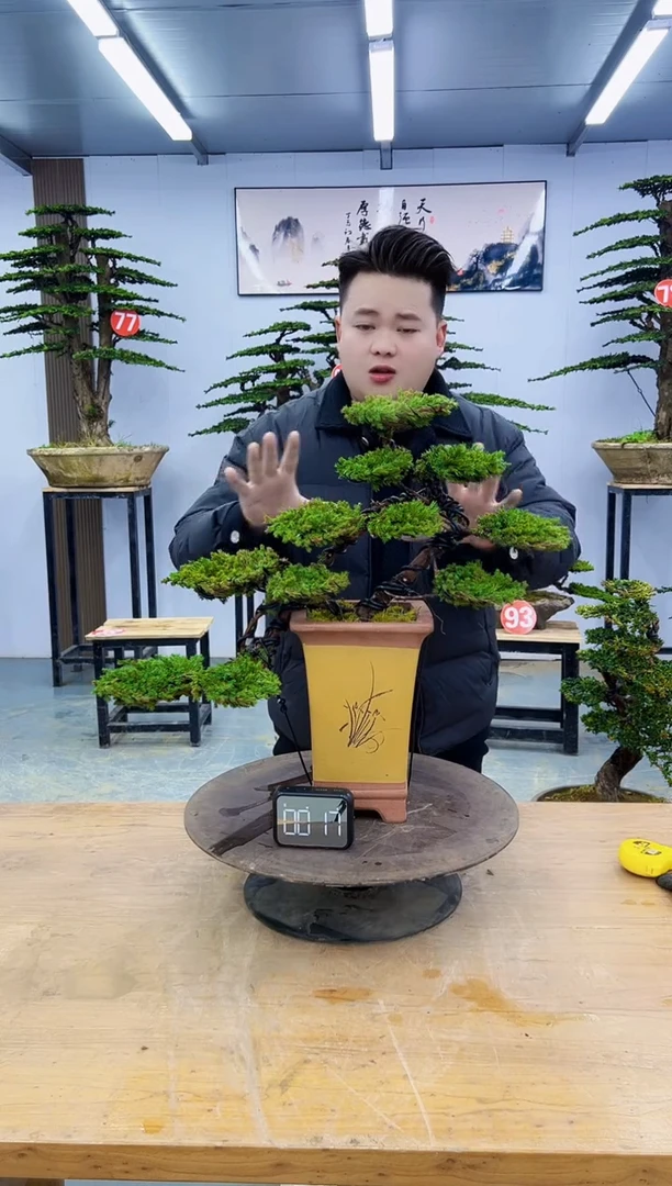 以实际为准000000000