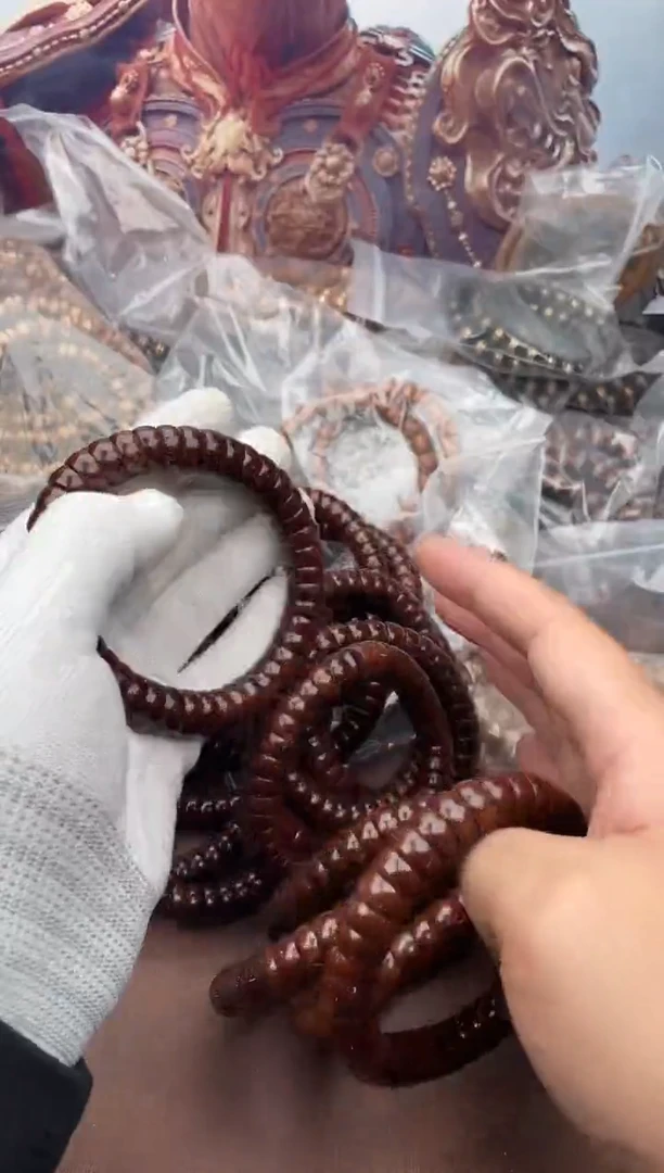 手串紫金鼠26号大肠