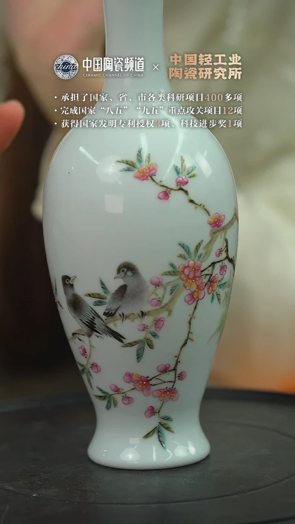 【闪购商品】B653中国景德镇陶瓷精选.